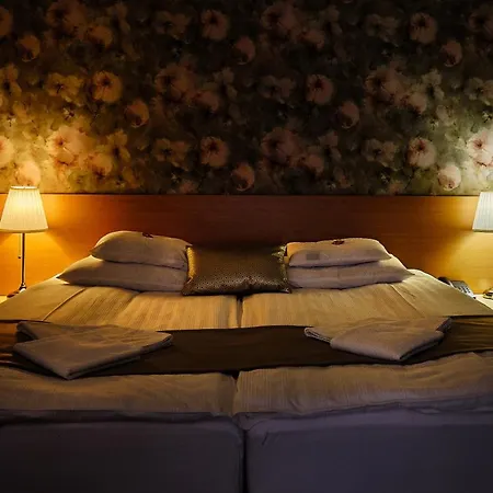 酒店 Lugas Nyíregyháza